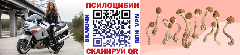 МЕГА ССЫЛКА Дмитров Псилоцибиновые грибы GOLDEN TEACHER